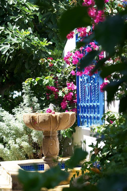 La Vista De Medina Studios & Apartments ภายนอก รูปภาพ